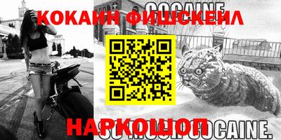 стаф Новокубанск