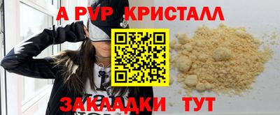 стафф Новозыбков