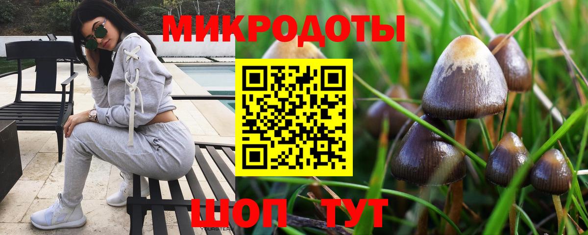 Галлюциногенные грибы Psilocybine cubensis Урай